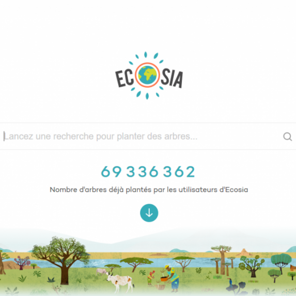 Le moteur de recherche Ecosia par l'agence Web Nerepix