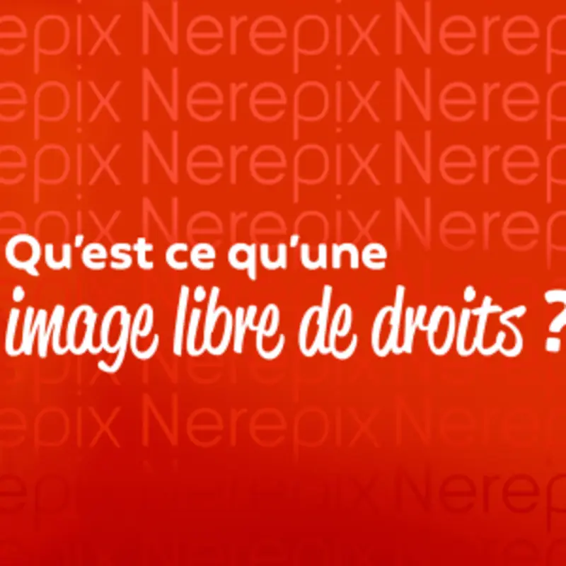Qu’est-ce qu'une image libre de droits ? - agence de communication web en Normandie Qu’est-ce qu'une image libre de droits ?