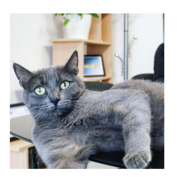 Ness est la community Manager de l'agence web Nerepix Ness est la community Manager de l'agence web Nerepix