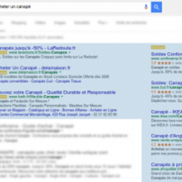Les liens publicitaires (S.E.A : Search Engine Advertising) Les liens publicitaires (S.E.A : Search Engine Advertising)