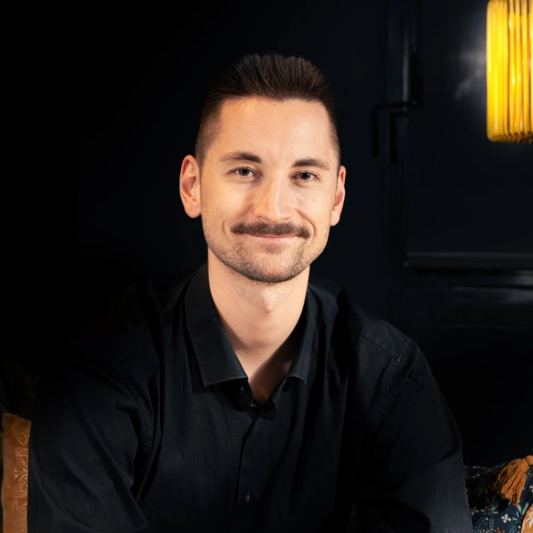 Pierre Faucheur - Intégrateur