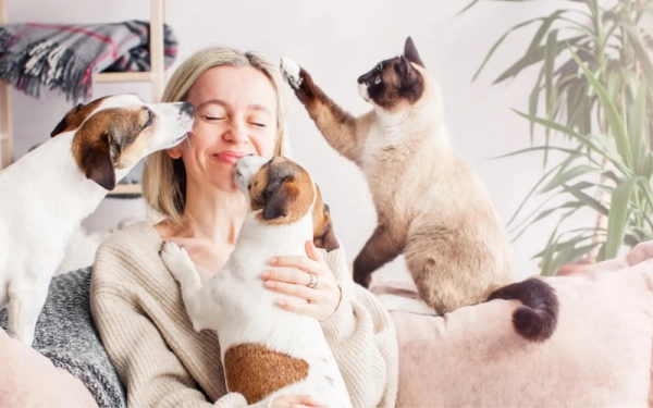 Création de site vitrine à Caen